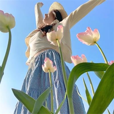 继承者计划