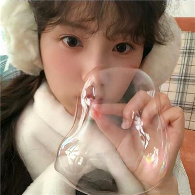 狐狸的故事